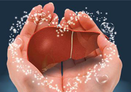 注意了，這種保健食品將修復(fù)保護(hù)肝細(xì)胞