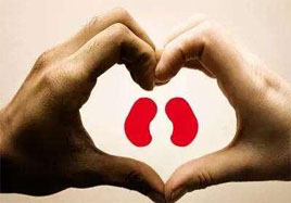 男人腎臟不好，從養(yǎng)腎開始吧!