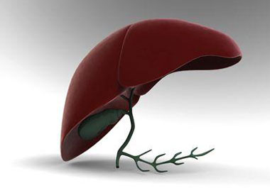 肝臟不好，藏毒多，表現(xiàn)有哪些信號