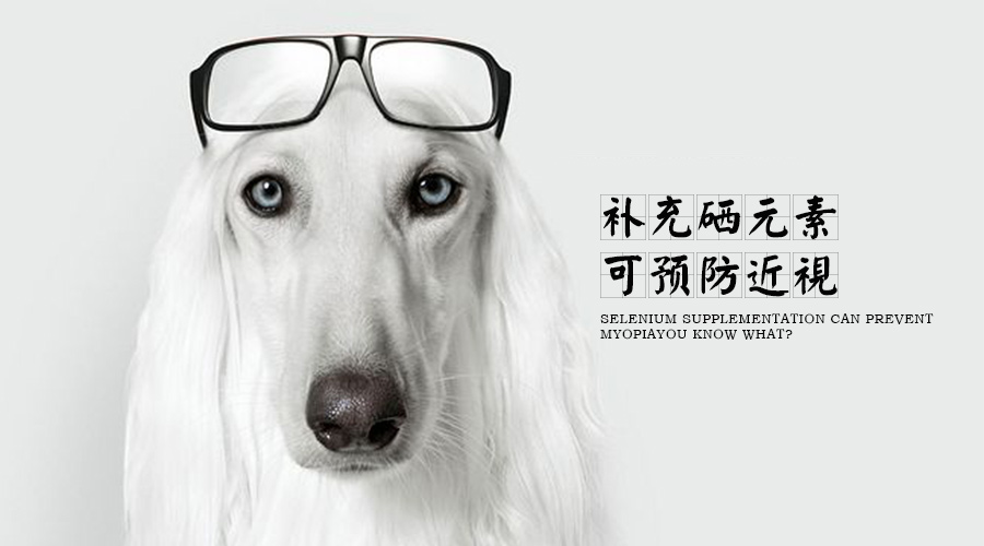 補充硒元素可預防近視