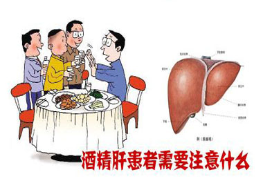 預防酒精肝 早吃它 遠離酒精肝