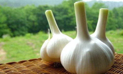 含硒高的食物有哪些？