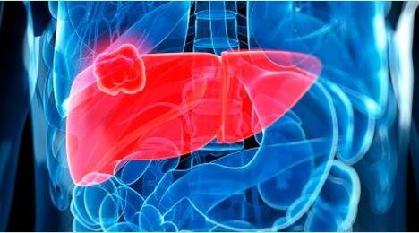 為什么養(yǎng)肝需要補硒？生活中如何保肝護(hù)肝？