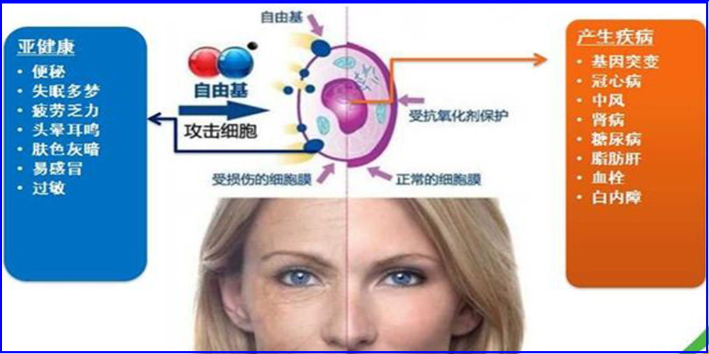 自由基是“百病之源”？硒元素可清除自由基