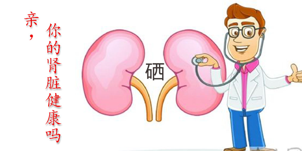 世界腎臟日|關(guān)愛腎臟健康，從補(bǔ)硒開始