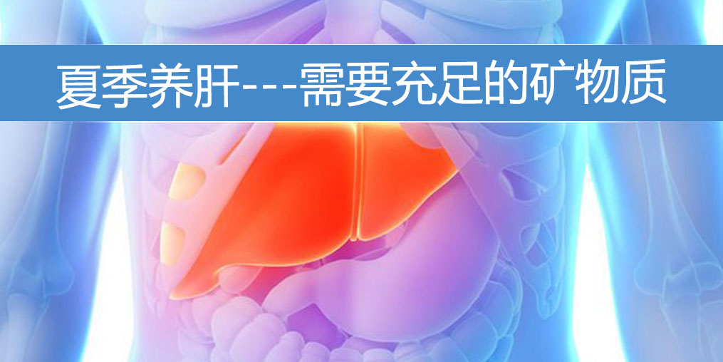 夏季養(yǎng)肝需要充足的礦物質(zhì)，保護(hù)肝功能