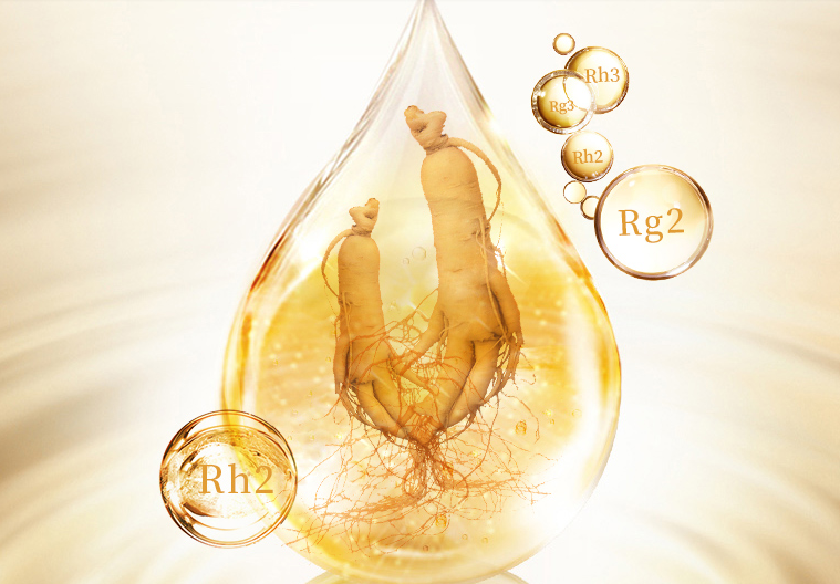 人參總皂苷和人參皂苷Rh2、Rg3是一樣的嗎?很多人都錯(cuò)了