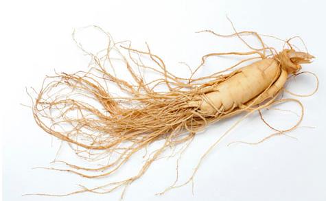 癌癥患者能吃人參皂苷嗎？該如何服用？