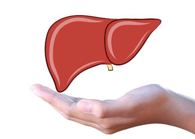 補(bǔ)硒鑄就肝臟四大防線，養(yǎng)肝護(hù)肝，快來補(bǔ)硒吧