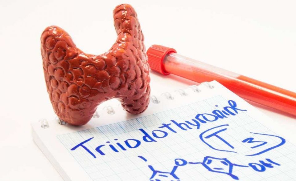 甲狀腺功能異常？注意硒攝入是否充足！