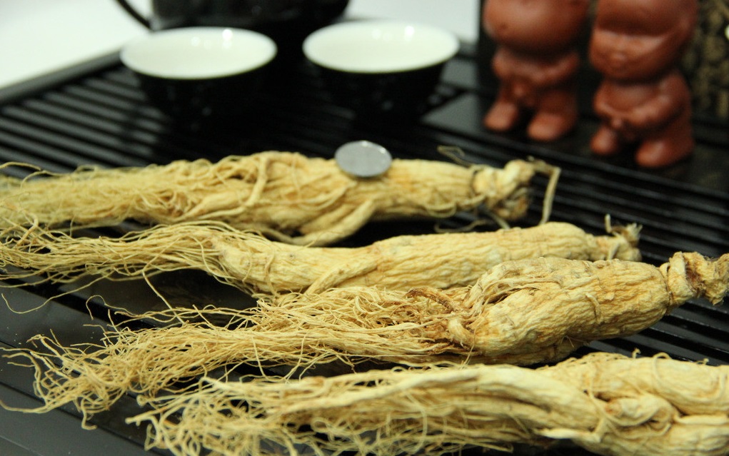 什么是人參皂苷？它對人體的健康有哪些功效？