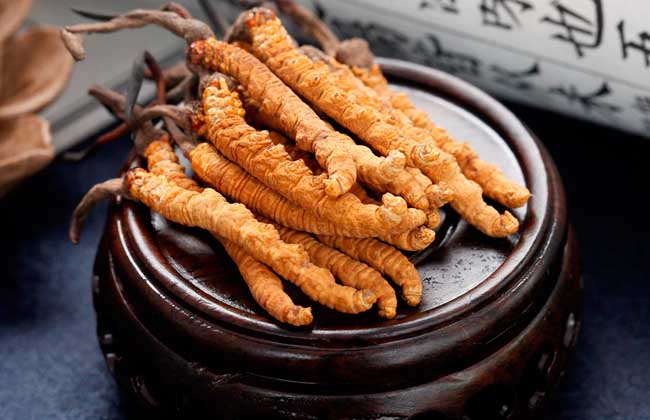 冬蟲夏草的營養(yǎng)成分有哪些？好在哪里