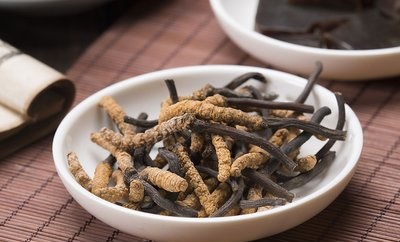 冬天宜進(jìn)補(bǔ)冬蟲夏草，看看它都有什么好