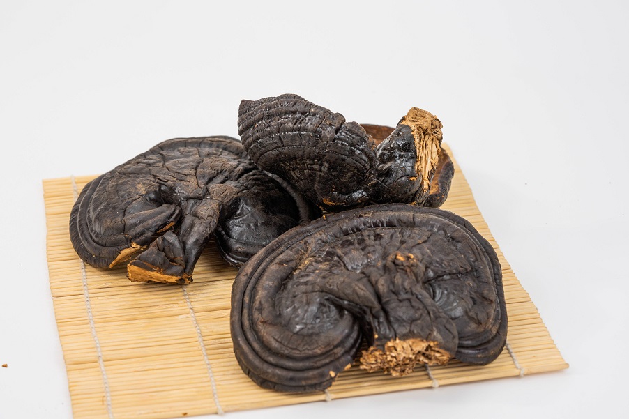 靈芝調(diào)節(jié)人體三大系統(tǒng)，達(dá)到平衡狀態(tài)