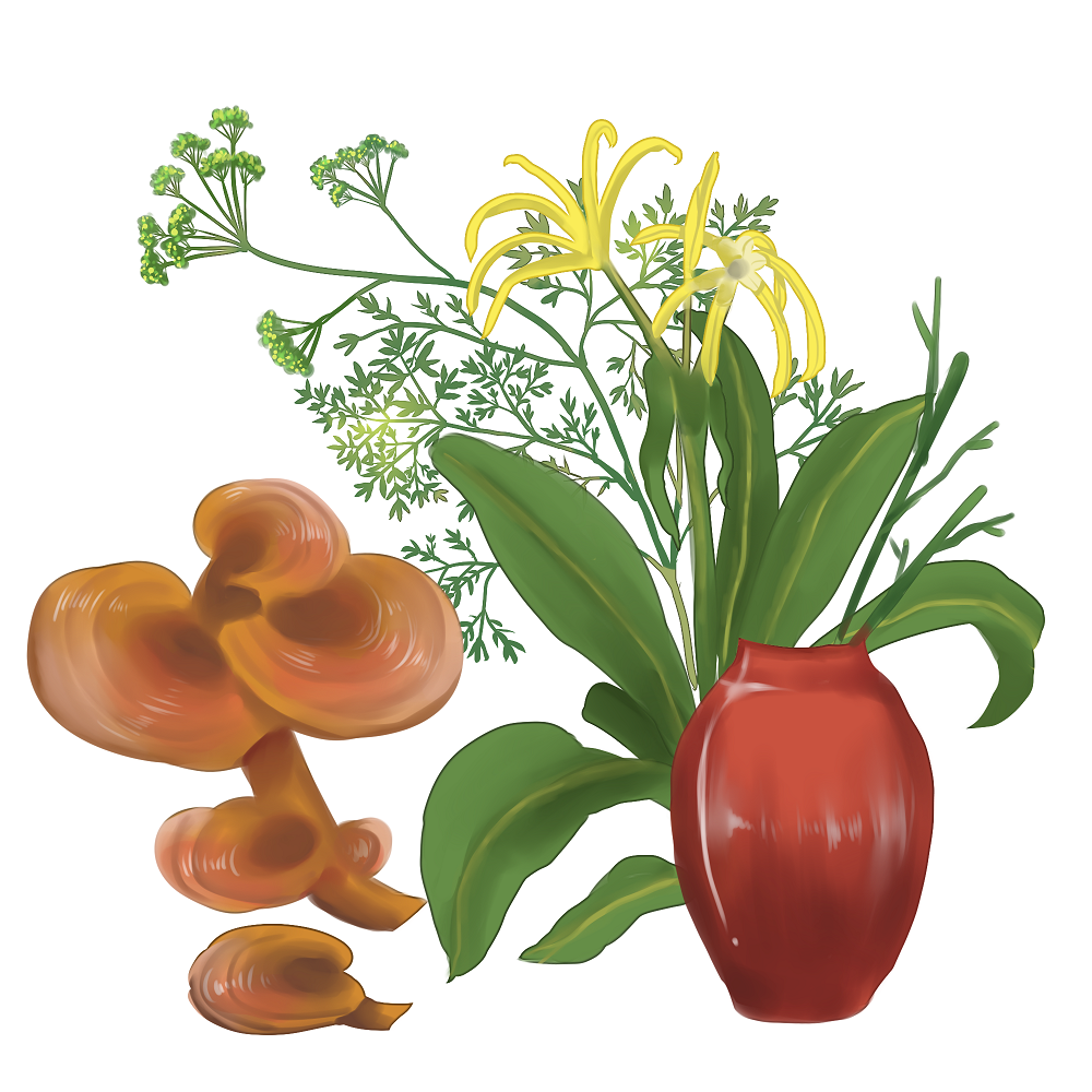 冬季適合服用靈芝孢子粉嗎？