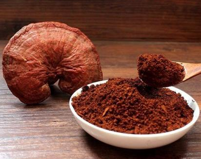 夏天體虛靈芝孢子粉來(lái)幫忙！