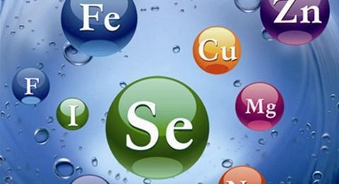 老人想要不生病，5種元素少不了！別只知道維生素