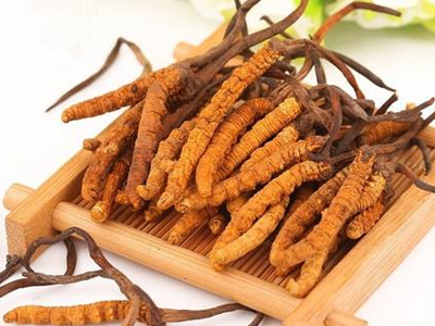 蟲草素？冬蟲夏草里的蟲草素是什么？