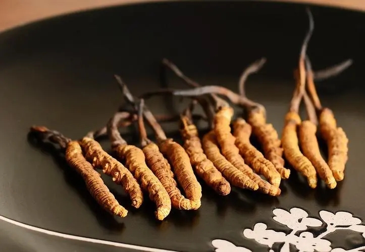 冬蟲(chóng)夏草適合長(zhǎng)期食用嗎？