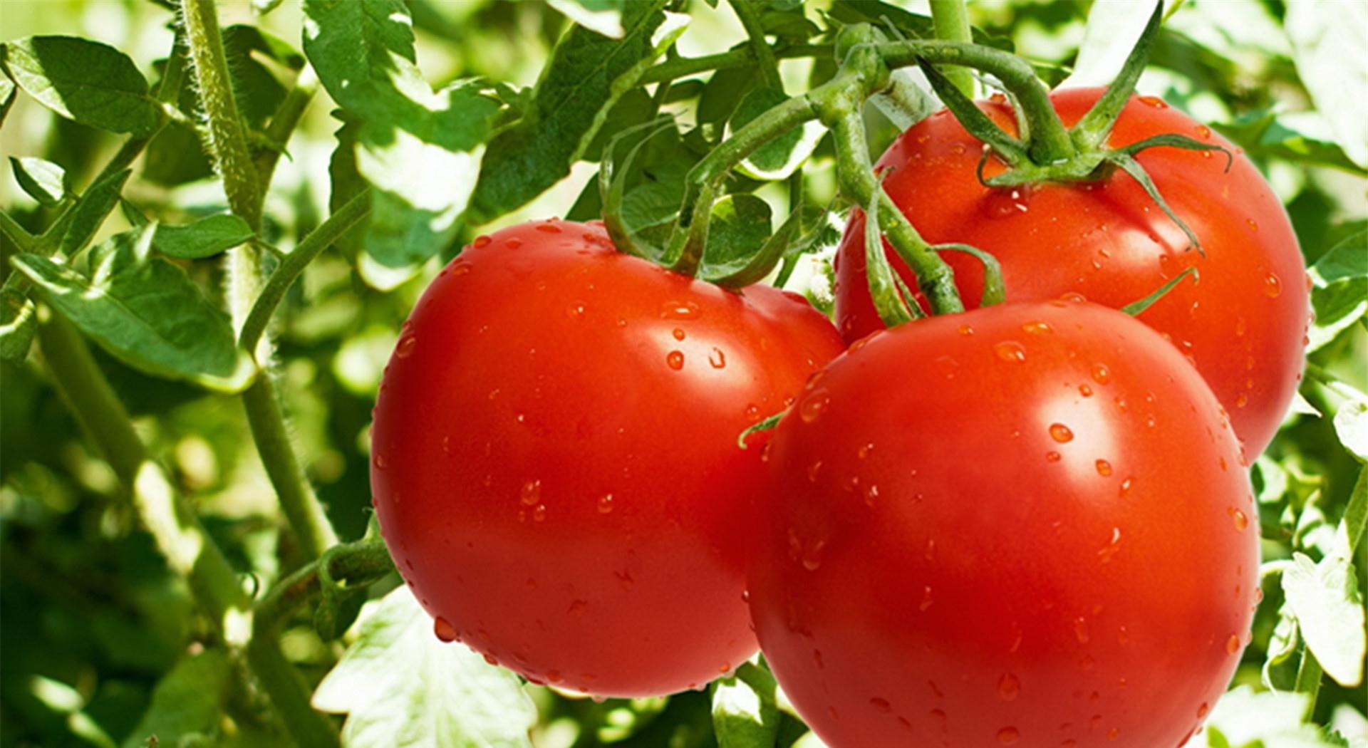 含有豐富的維生素和膳食纖維，但是這3類人一定要謹(jǐn)記少食