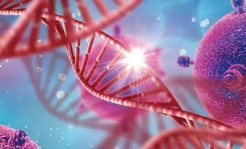 為什么說癌癥病人需要補硒？