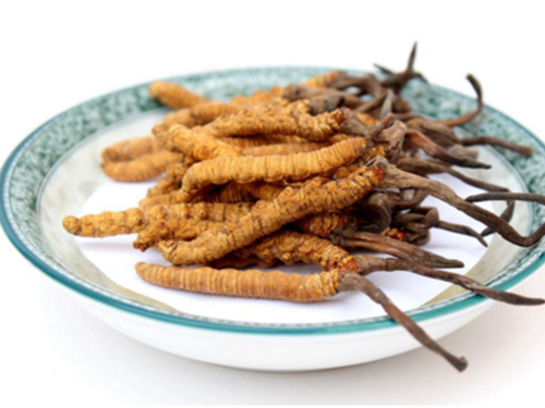 哪些人不宜吃冬蟲夏草？