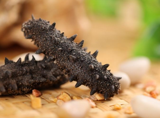 出現(xiàn)便秘還可以繼續(xù)食用海參嗎？