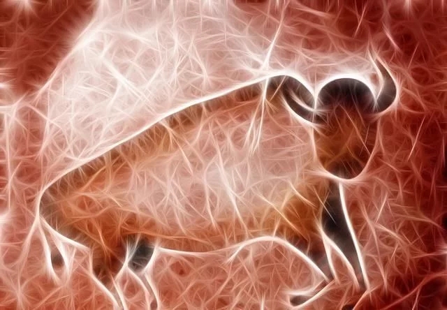 牛磺酸到底對人體神經(jīng)系統(tǒng)有什么好處？