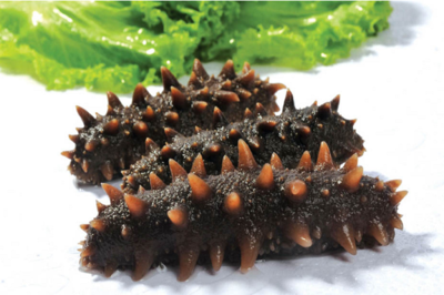 海參滋補，都有哪些對海參是禁忌？