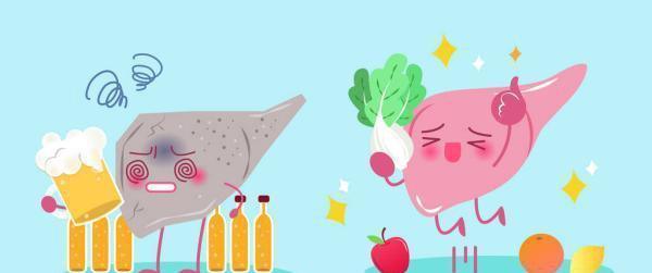 藥食同源的葛根，真的可以解酒保肝嗎？