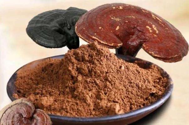 感冒能吃靈芝孢子粉嗎？不確定的人趕緊看看