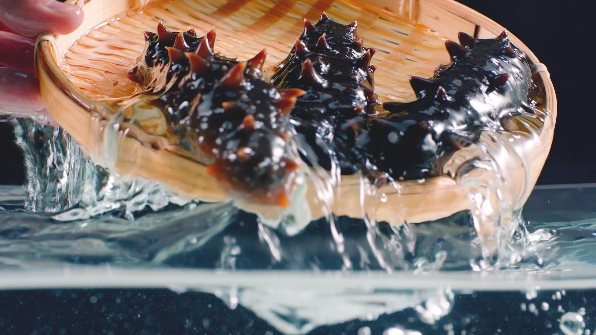 春天為什么要吃海參？