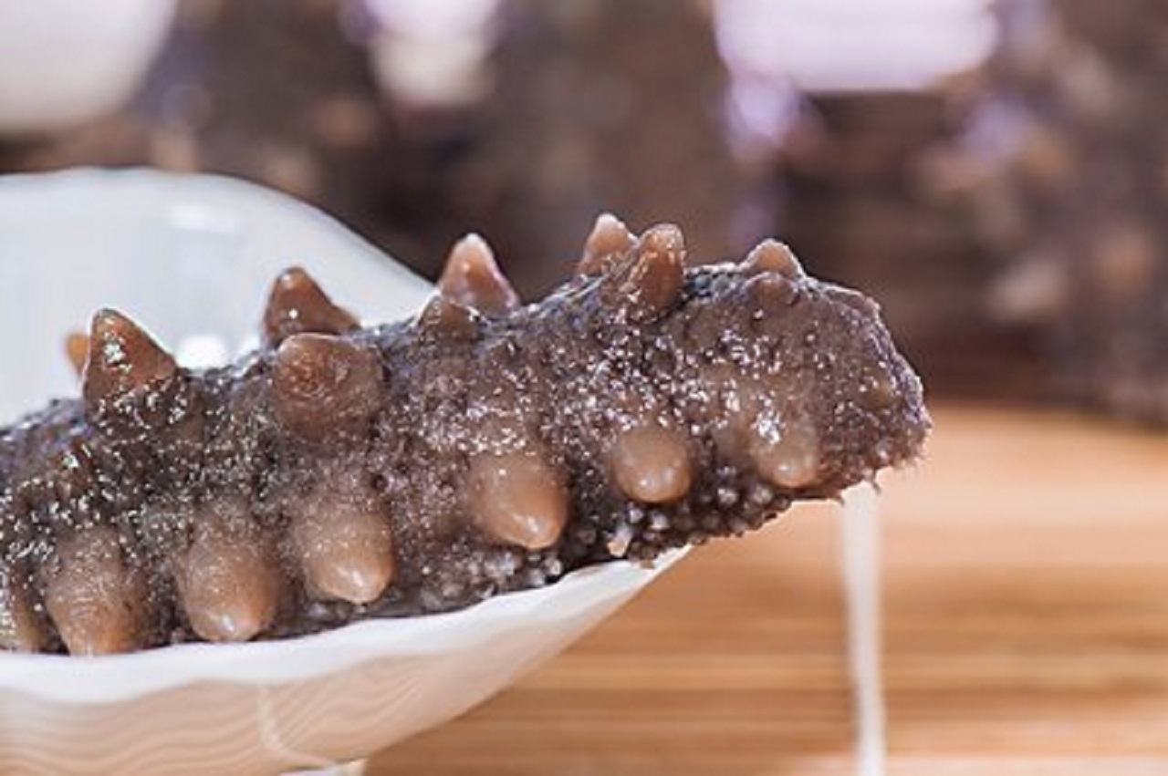 海參的營(yíng)養(yǎng)價(jià)值都適合誰(shuí)來(lái)吃？