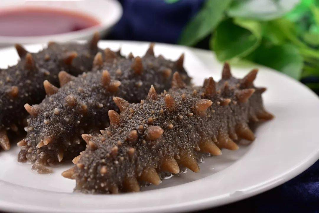 夏季能不能吃海參滋補(bǔ)身體呢？