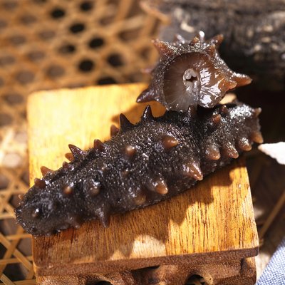 春季吃海參！健康補起來！