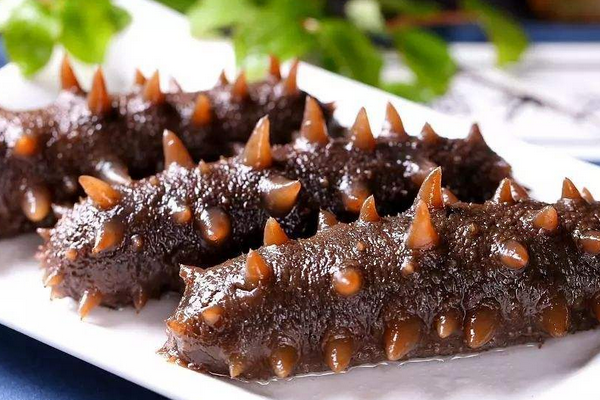  海參：海洋的瑰寶，健康的源泉